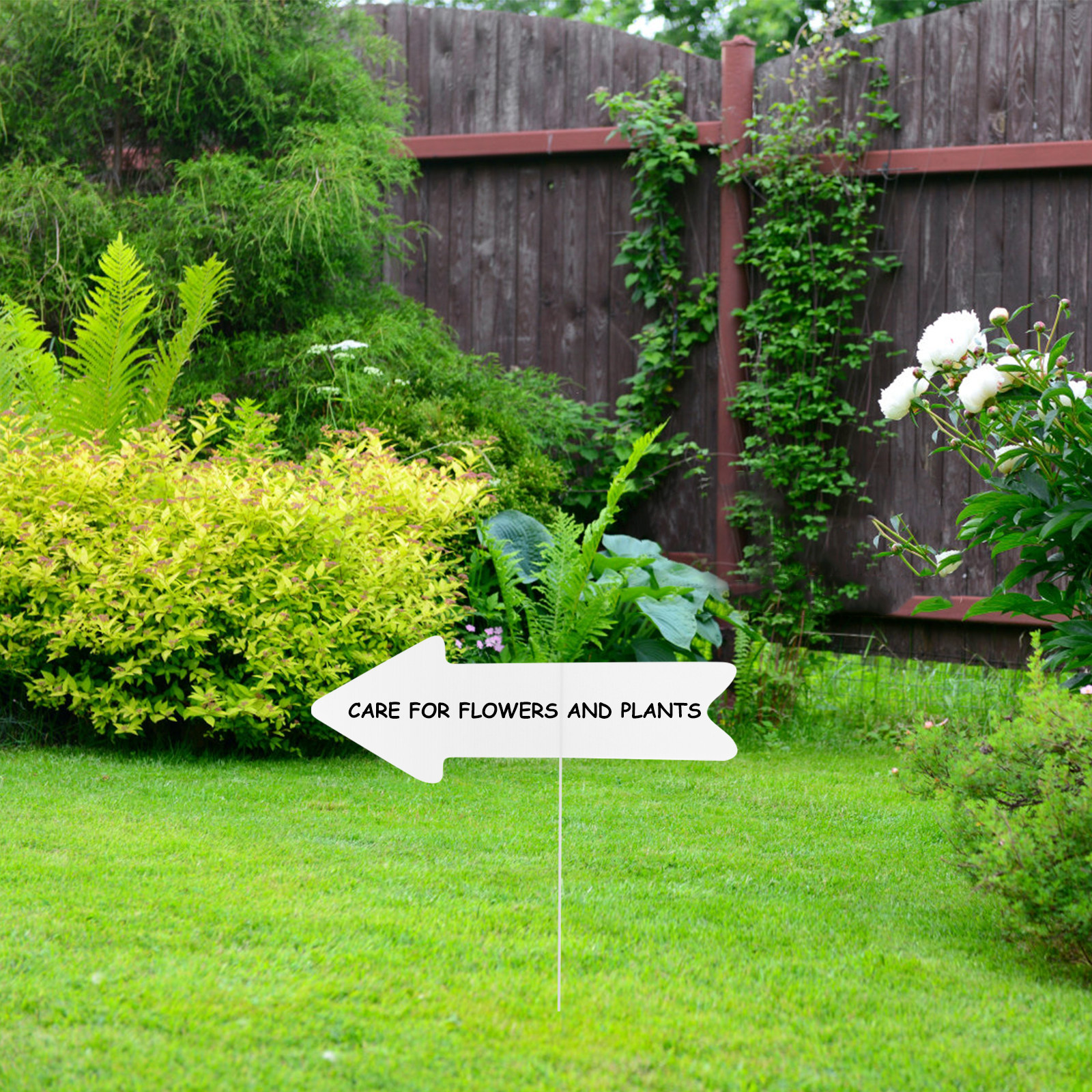 5Pcs Blank Plastic Yard Signs  - Yard Sign Blank 评论和价格